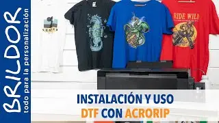 🖨️👕 DTF: INSTALACIÓN Y CONFIGURACIÓN CON ACRORIP