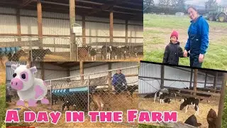 A Day In The  Farm With Hashley & Mum | Hailey and Hashley Sisters
