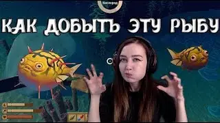 Raft | ГАЙД | ГДЕ НАЙТИ ИГЛОБРЮХА? КАК СДЕЛАТЬ ВЗРЫВЧАТЫЙ КЛЕЙ И СЕТКУ ДЛЯ ЖИВОТНЫХ?