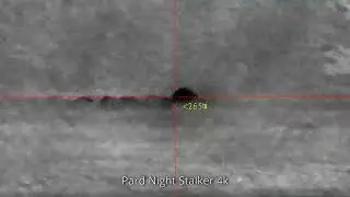 PARD NIGHT STALKER 4K