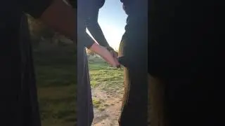 Ленивый тверк