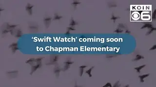 ‘Swift Watch’ coming soon to Chapman Elementary