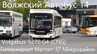 Новинка!!Волжский Автобусный Маршрут 14 Гипермаркет Магнит-37 Микрорайон Volgabus-5270.G4 (CNG)№ 874