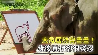 你敢信麼？ 大象居然會畫畫，繪畫能力居然不輸人類！