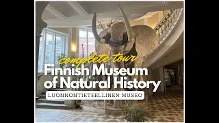 A Complete Tour of the Finnish Museum of Natural History 4K