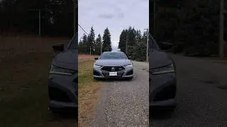 The 2024 Acura TLX Type-S Has NEW Tech! Win or Loss?