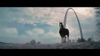 Beer Country | Budweiser