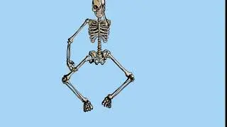 rigging skeleton corykerr