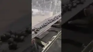 20TPH South Africa Charcoal Briquette Plant on Site Video