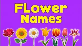 Flowers Name in English 🌸 | Learn Flower Names for Kids | Educational Learning Video 
