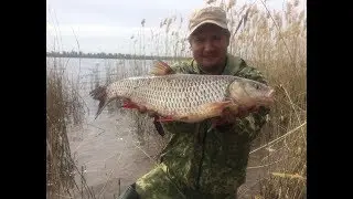 #13 Рыбалка с Берега на Реке Волге Ловля Белого Хищника на Донку Закидушку Голавль