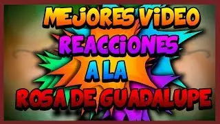 MEJORES VÍDEO REACCIONES A LA ROSA DE GUADALUPE