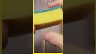 #shorts#The Science of Sponges: How Do They Hold Liquid Despite Holes?#shorts#