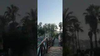 Первая неделя в Алании. Казахи в Турции. Недвижимость в Турции.