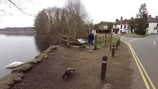 Fensham Great Lake.