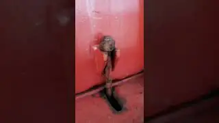 Подготовка морского судна отходу. Обязанности Able Seaman, Ordinary Seaman, Анатолий Чиненный ХМК РП