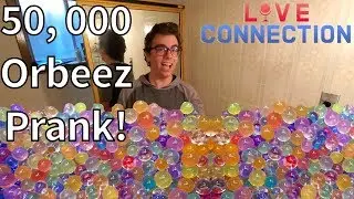 1 Man vs 50, 000 Orbeez | LC Live