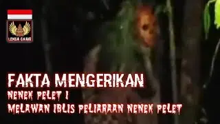 Melawan Iblis Peliaraan Nenek Pelet