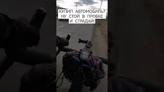 ОЛЕНИ НА ДОРОГЕ 