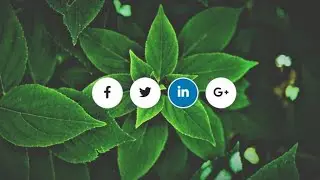 Social media icons hover effect css and html ||(CoDic GyAn)