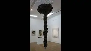 Visita Corta en Museo Malba.                  VideoFotos