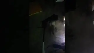 Разговоры у дымогенератора ^_^