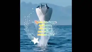 С Днём Рождения, Сергей Егорович! #день #праздник #деньрождения #поздравление