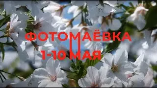 Фотомаёвка