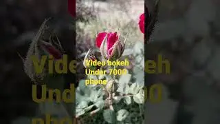 Techno go bf7 2023 smart phone video bokeh mode ll 