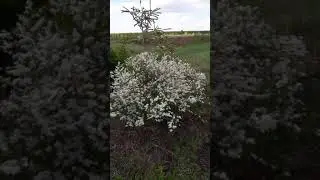 20 мая 2020 г.