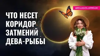 Коридор затмений март-апрель 2024 | Прогноз для каждого знака