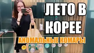 АНОМАЛЬНЫЕ КОРЕЙСКИЕ КОМАРЫ. ЛЕТО В КОРЕЕ. KOREA VLOG 2020.06.03