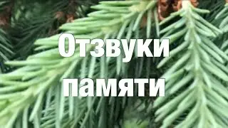 9.1 Я есть То. Отзвуки памяти. Нисаргадатта Махарадж