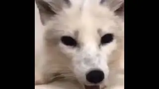 d'aaaaaaa