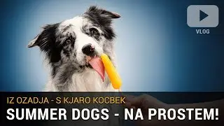Iz ozadja - Summer dogs s Kjaro Kocbek