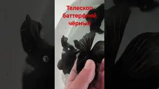 Телескоп баттерфляй чёрный