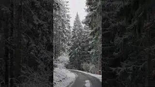6 февраля 2024 г.