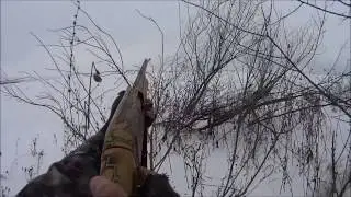 дальний выстрел, 