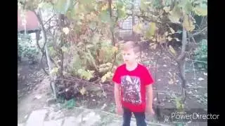 Bottle Flip Chalenge