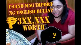 ENGLISH BULLDOG PHILIPPINES | FIRST TIME TO IMPORT | Titser Janna