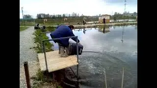 IMG 5256