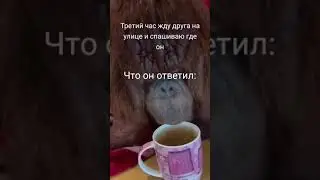 мем про обезьяну которая пьет индийский чай у меня дома без моего разрешения #мем