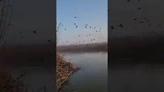 22 апреля 2024 г.