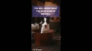Eat What You Have Always Eaten | Top 10 Most #shorts