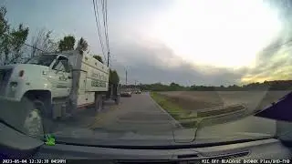 dashcamera: well hello there buddy