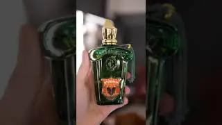 FRAGRANCES YOU NEED TO BUY! *My Casamorati favourite picks* 