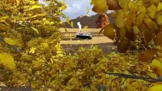 Autumn Leaves