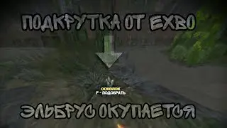 Подкрутка от EXBO?! I Эльбрус окупается I STALCRAFT
