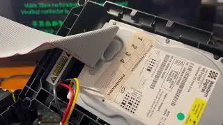 OG Xbox with No Error #