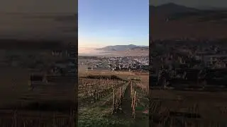 Lever de soleil à la nécropole de Sigolsheim  #alsace #sigolsheim #kaysersberg #visitAlsace